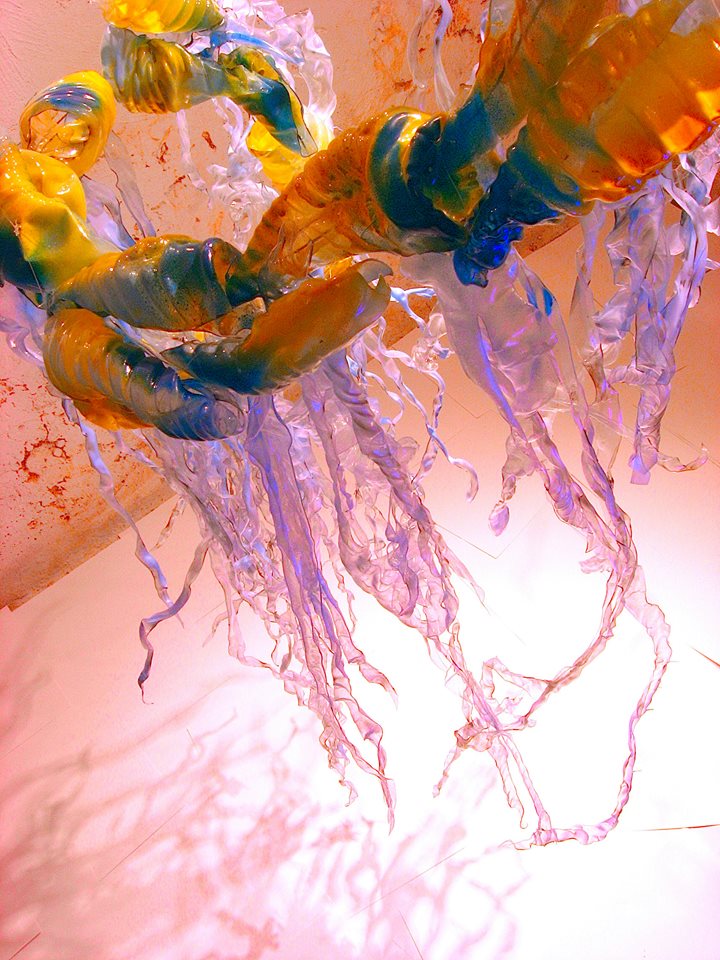 Syphonophore, deepsea makro-plankton - Tia Bley